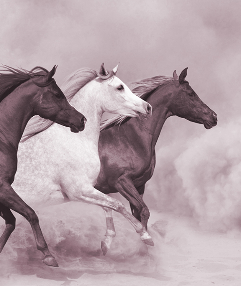 Depositphotos 37398107 web mono